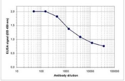 ELISA: Histone H3 [ac Lys18] Antibody [NBP2-59174] - To determine the titer, an ELISA was performed using a serial dilution of the antibody directed against H3K18ac. The antigen used was a peptide containing the histone modification of interest. By plotting the absorbance against the antibody dilution, the titer of the antibody was estimated to be 1:8,800.